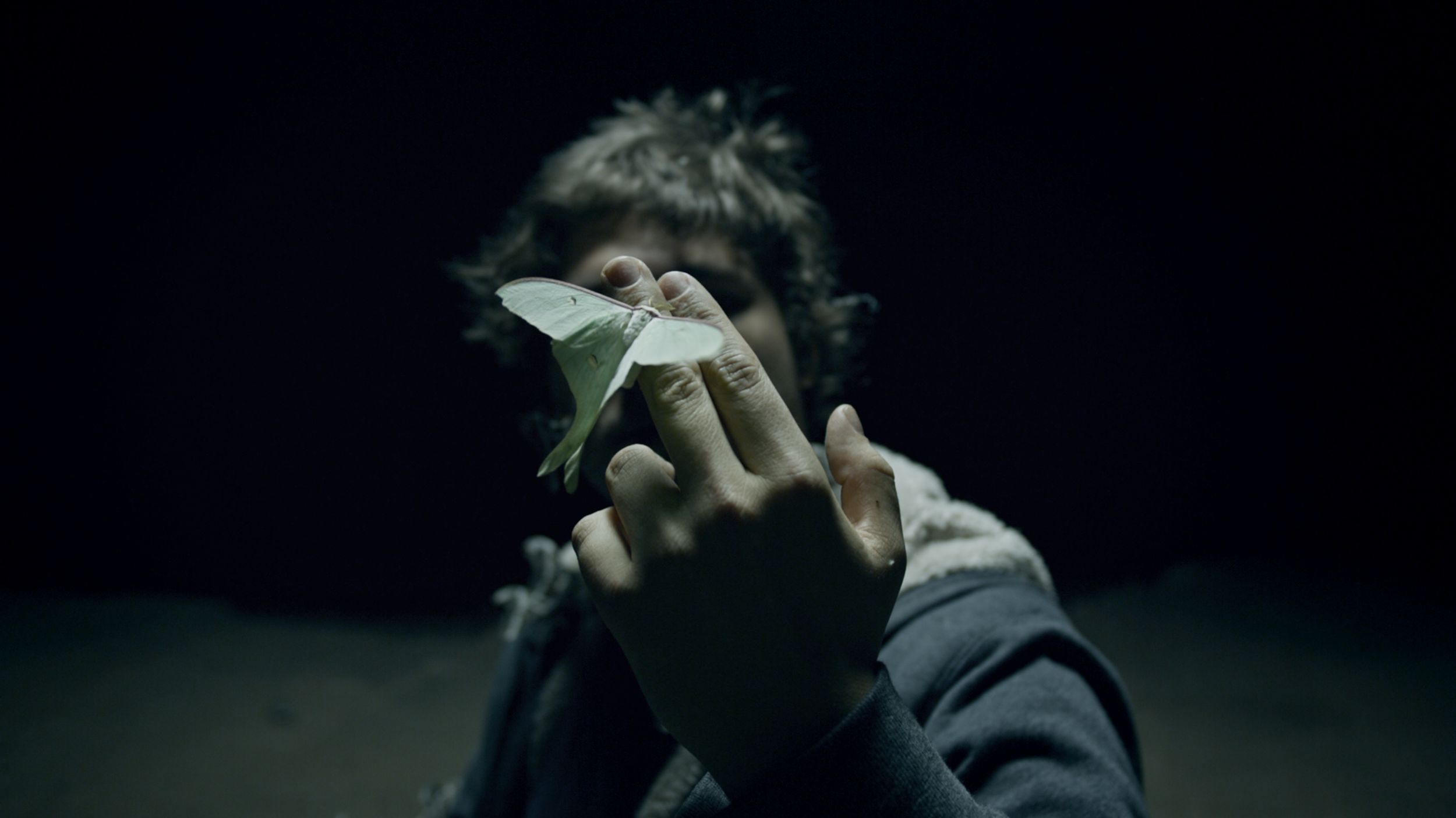 Primo piano di una persona con capelli scuri e ricci che tiene una falena luna (Actias luna), dalle ali verde pallido, appoggiata sulle dita di una mano tesa verso l'obiettivo. Lo sfondo è quasi completamente buio, con solo la mano e la falena illuminate, mentre il volto della persona resta in ombra e leggermente sfocato.